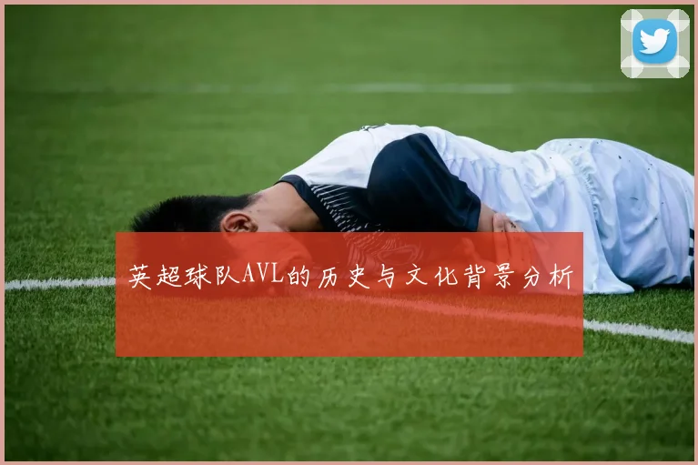 英超球队AVL的历史与文化背景分析