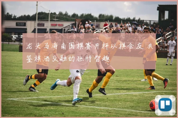 龙头马海南围棋赛开枰以棋会友 共鉴棋酒交融的独特智趣
