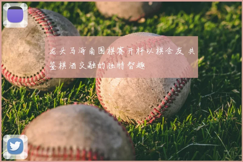 龙头马海南围棋赛开枰以棋会友 共鉴棋酒交融的独特智趣